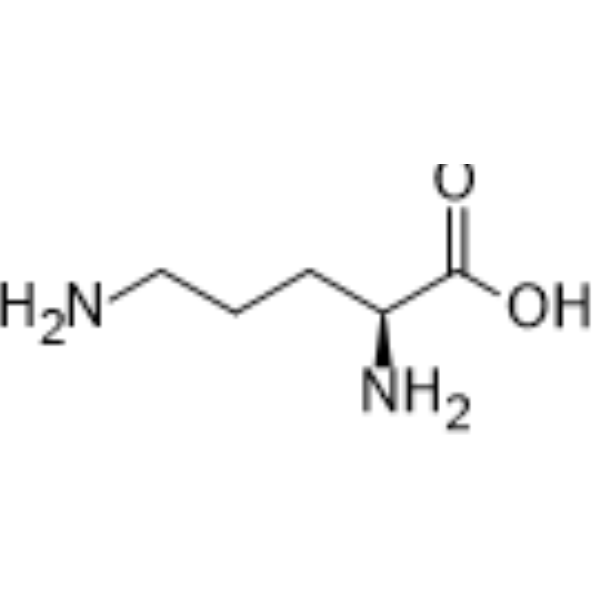 Ornithine 70-26-8